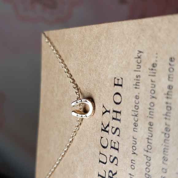 Lucky Horseshoe Necklace Horse Cowgirl Western Country Vaquera Dainty Minimalist - Picture 8 of 13